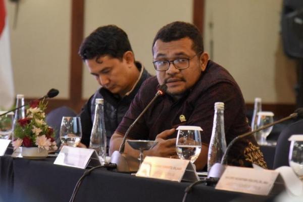 Anggota DPR Soroti Tingginya Harga Avtur di Papua