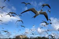 Ilustrasi - ini alasan mengapa langit terlihat berwarna biru (Foto: Handout via REUTERS)