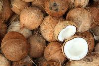 Harga Kelapa Mahal, Ternyata Ini Penyebabnya