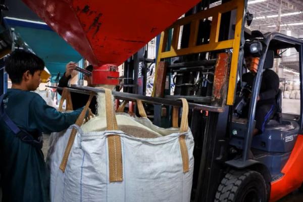 Tarif Trump Ancam Tambah Penderitaan Sektor Beras Thailand