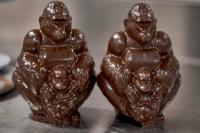 Taman Nasional Kongo Tertua di Afrika Dilanda Perang, Kini Jualan Cokelat