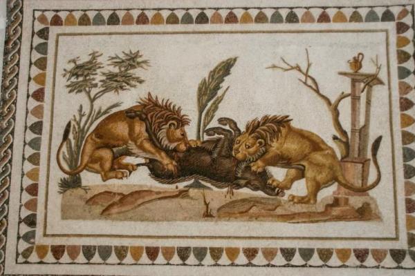 Bekas Gigitan Ungkap Perjumpaan Fatal Gladiator dengan Singa di Inggris Kuno
