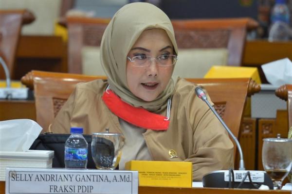 Anggota Komisi VIII DPR Selly Andriany Gantina. Foto: dpr 