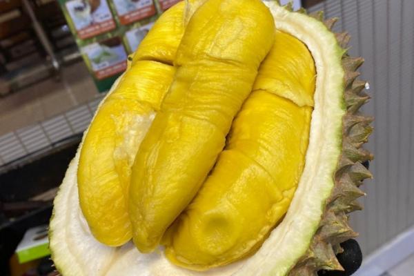 Asal Usul Durian Musang King
