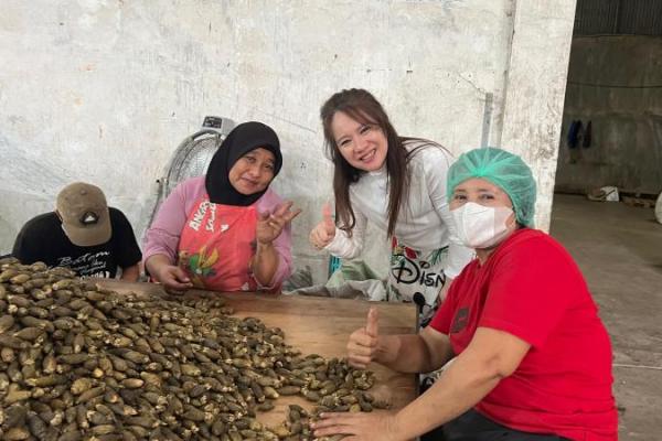 Carut Marut Regulasi Jadi Tantangan Investasi di Indonesia