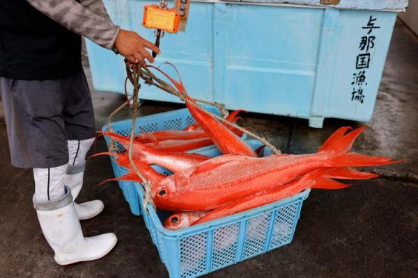China Siap Lanjutkan Impor Makanan Laut Jepang Usai Kasus Nuklir Fukushima