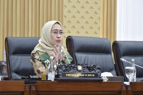 Ketua Komisi VI DPR RI, Anggia Erma Rini. Foto: DP 