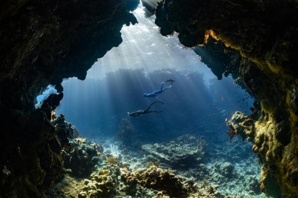Enam Spot Diving Terbaik di Indonesia, Ada Raja Ampat