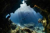 Enam Spot Diving Terbaik di Indonesia, Ada Raja Ampat