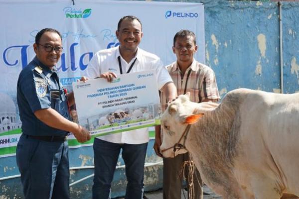 Pelindo Multi Terminal Grup Salurkan 90 Ekor Hewan Kurban di Sekitar Pelabuhan