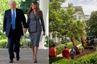 Donald Trump Mengaspal Rose Garden Gedung Putih Hasil Desain Ulang Melania Trump