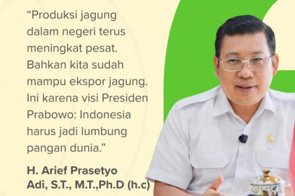 Kepala Badan Pangan Nasional/National Food Agency (NFA)  Arief Prasetyo Adi (foto:NFA) 