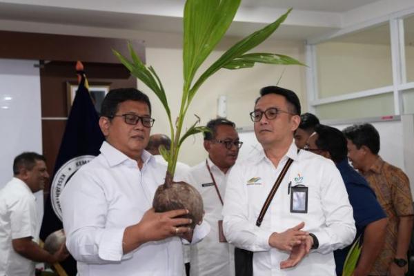 Wakil Menteri Transmigrasi Viva Yoga Mauladi (kiri) mengamati bibit kelapa genjah. Foto: dok. katakini 