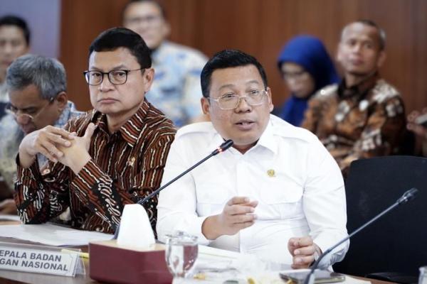 Kepala Badan Pangan Nasional/National Food Agency (NFA)  Arief Prasetyo Adi  