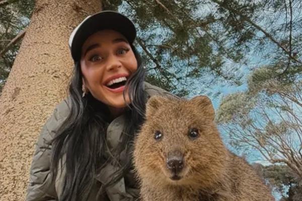 Katy Perry bersantai di sela Lifetimes World Tournya di Australia. (FOTO: INSTAGRAM) 