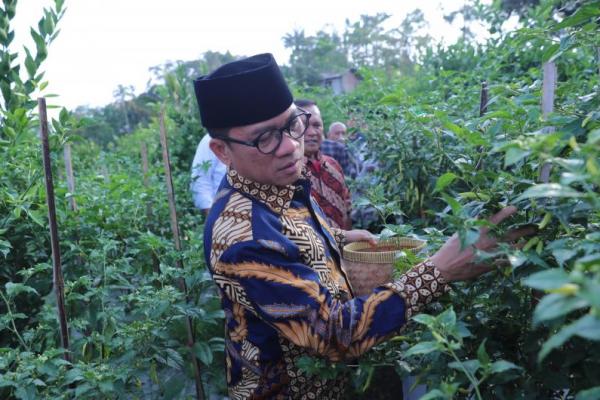 Mendes PDT Yandri Susanto (Foto: Humas Kemendes PDT) 