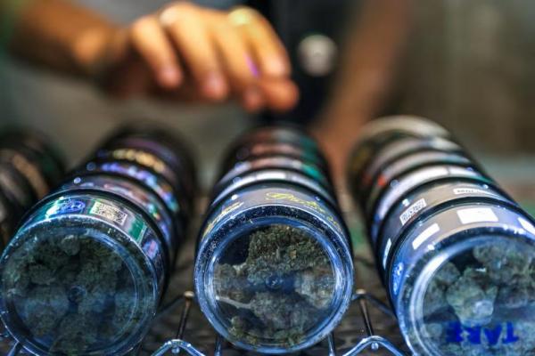 Punnathat Phutthisawong, seorang staf menata ganja di dalam tokonya di Khaosan Road, salah satu tempat wisata favorit di Bangkok, Thailand, 25 Juni 2025. REUTERS 