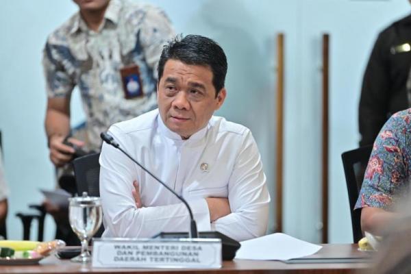Wakil Menteri Desa dan Pembangunan Daerah Tertinggal (Wamendes PDT) Ariza Patria (Foto: Humas Kemendes PDT) 