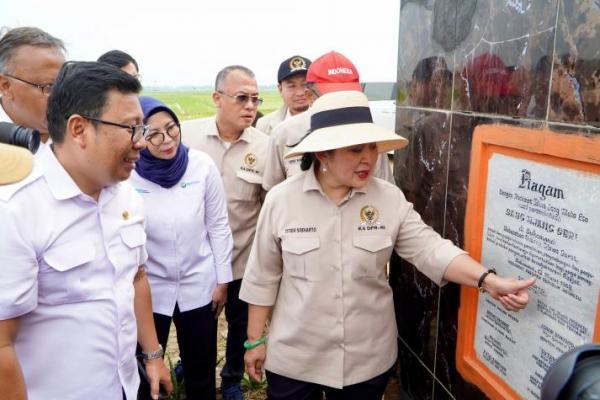 Kepala Badan Pangan Nasional/National Food Agency (NFA)  Arief Prasetyo Adi bersama Ketua Komisi IV DPR RI Siti Hediati Soeharto dan anggota Komisi IV DPR RI berkunjung ke Tugu Soeharto di tengah hamparan persawahan SHS di Subang, Jawa Barat pada Kamis (3/7/2025)(foto:NFA). 