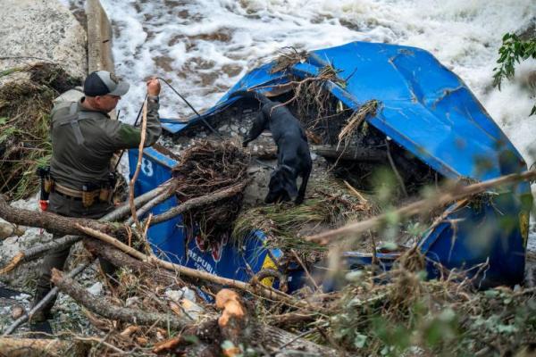 Seekor anjing pelacak memeriksa tempat sampah di Camp Mystic setelah banjir mematikan di Kerr County, Texas, AS, 5 Juli 2025. REUTERS 