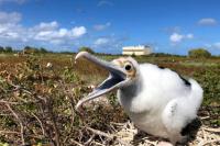 Angkatan Udara AS Tangguhkan Proyek Roket SpaceX di Atol Pasifik
