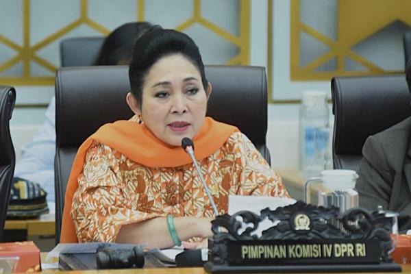 Ketua Komisi IV DPR RI Siti Hediati Hariyadi. Foto: dpr 