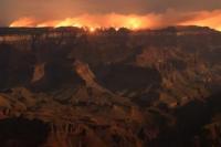 Kebakaran Grand Canyon yang Dibiarkan, 50 Persen Hutan Hangus