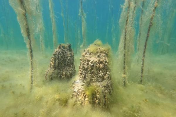 Objek di dasar Danau Ohrid terlihat di desa Lin, Albania, 11 Juli 2025. Handout via REUTERS 