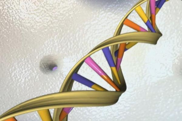 Heliks ganda DNA terlihat dalam ilustrasi seniman yang tidak bertanggal. REUTERS 