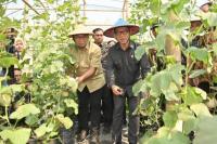 Mendes Yandri Panen Melon-Telur Ayam Hasil dari Dana Desa