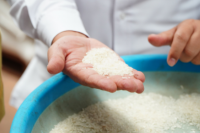 Ilustrasi beras, salah satu bahan makanan paling awet dan tahan lama.