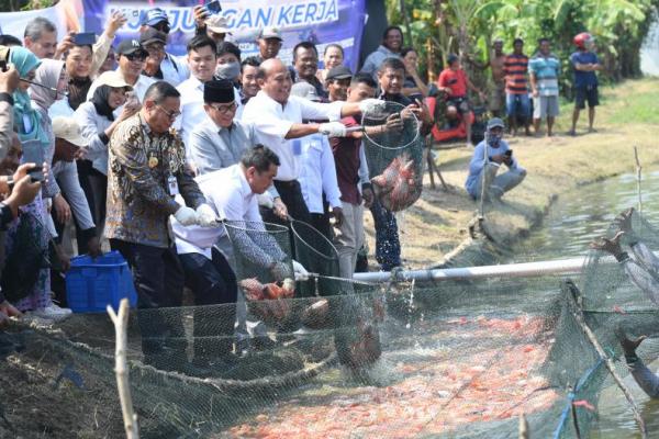 Mendes Yandri Dorong Pati Jadi Desa Eksportir Ikan Nila
