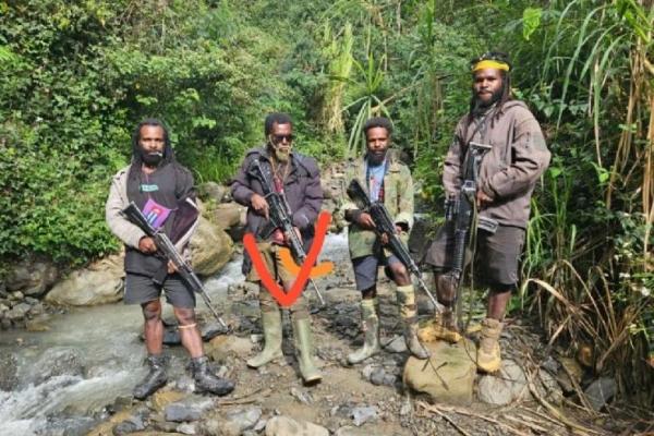 Satgas Damai Cartenz Ringkus KKB Penembak Anggota Polri di Wamena