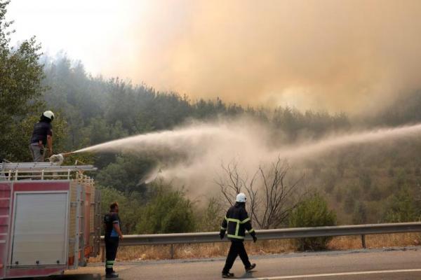 Petugas pemadam kebakaran merespons kebakaran hutan di dekat Osmaneli di provinsi Bilecik barat, Turki, 24 Juli 2025. REUTERS 