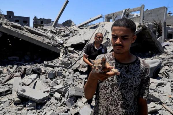 Seorang warga Palestina menggendong seekor kucing saat memeriksa rumah-rumah yang hancur di Deir al-Balah, Jalur Gaza tengah, 23 Juli 2025. REUTERS 