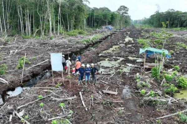Ditjen Gakkum Kemenhut Balai Penegakan Hukum Kehutanan Wilayah Sumatera menyegel area terbakar dibawah PBPH PT PML di Karang Dapo, Kabupaten Musi Rawas Utara, Sumatera Selatan (Foto: Kemenhut) 