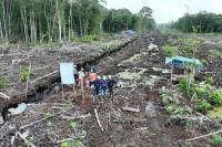 Kemenhut Segel 80 Hektare Hutan Areal Bekas Terbakar di Sumsel