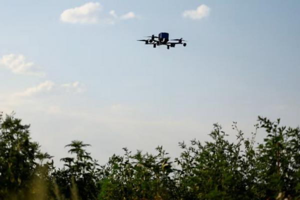 Sebuah tampilan menunjukkan drone FPV pencegat dari Resimen Rudal Anti-Pesawat Bilotserkivskyi ke-1129 di lokasi yang dirahasiakan di wilayah Dnipropetrovsk, Ukraina, 8 Juli 2025. REUTERS 