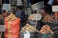 Asal Usul Evolusi Kentang Terungkap, Tomat Terlibat