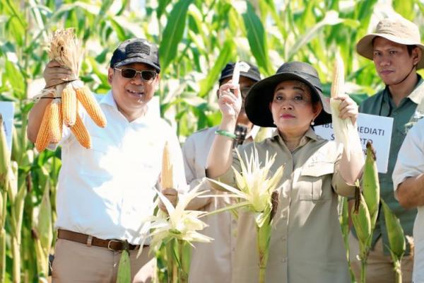 Kepala Badan Pangan Nasional/National Food Agency (NFA)  Arief Prasetyo Adi bersama Ketua Komisi IV DPR RI Siti Hediati Soeharto (Titiek Soeharto) di Balai Pengembangan Perbenihan dan Pengawasan Mutu Benih Tanaman Pertanian (BP3MBTP), Gunungkidul, Yogyakarta, Rabu (6/8/2025).(foto:NFA) 