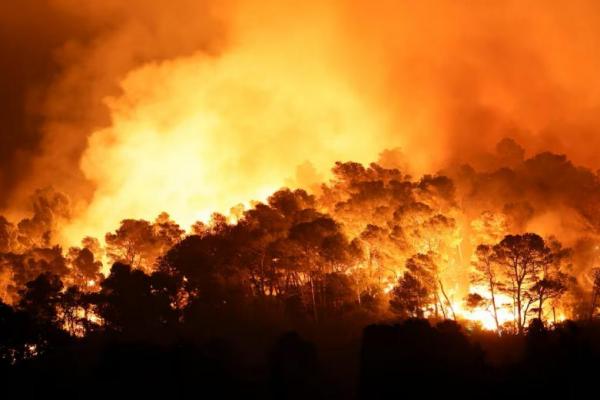 Pohon terbakar saat kebakaran hutan di dekat Saint-Laurent-de-la-Cabrerisse, Prancis selatan, 6 Agustus 2025. REUTERS 