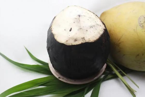 Ilustrasi - kelapa bakar (Foto: Orami) 