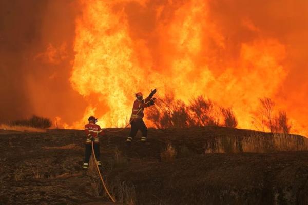 Petugas pemadam kebakaran berupaya memadamkan kebakaran hutan yang mendekati Trancoso, Portugal, 13 Agustus 2025. REUTERS 