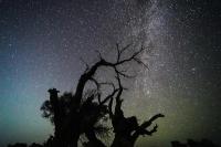 Taylor Swift Umumkan Album Baru Selama Hujan Meteor Perseid, Apakah Fenomena Kosmik Itu?