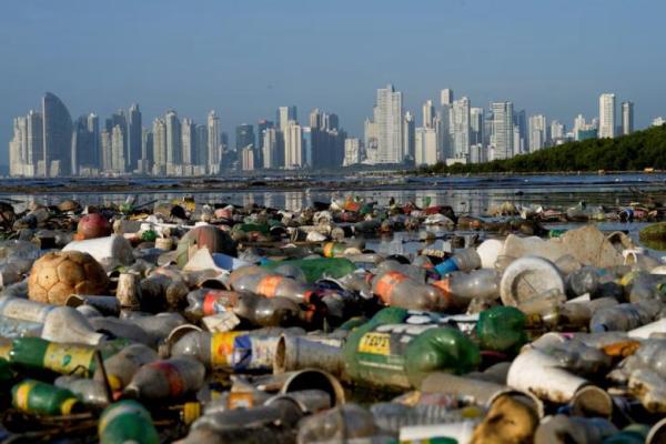 Plastik yang mencemari kawasan mangrove berada di Teluk Panama, Kota Panama, Panama, 6 Desember 2024. REUTERS 