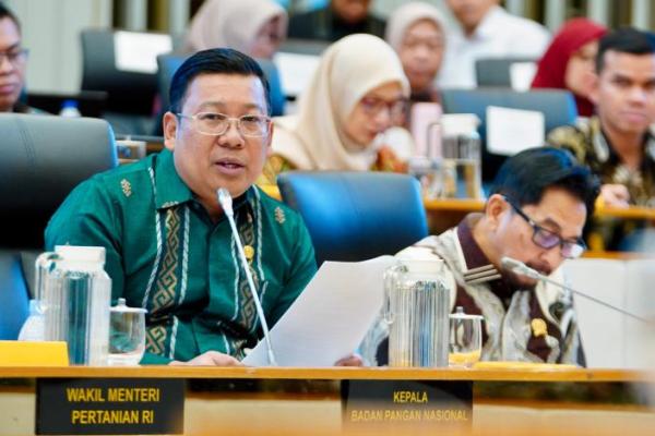 Kepala Badan Pangan Nasional/National Food Agency (NFA)  Arief Prasetyo Adi dalam Rapat Dengar Pendapat dengan Komisi IV DPR RI di Jakarta pada Kamis (21/8/2025).(foto:NFA) 
