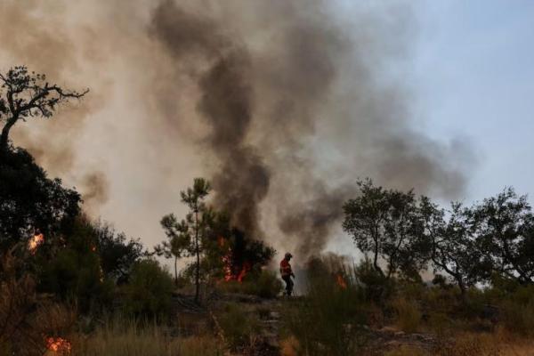 Seorang petugas pemadam kebakaran bergerak di antara pepohonan dan semak belukar yang terbakar selama kebakaran hutan di Castelo Novo, wilayah Fundao, Portugal, 21 Agustus 2025. REUTERS 
