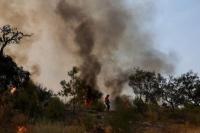 Kebakaran hutan (Foto: REUTERS)