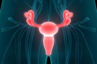 Ilustrasi - kanker serviks (Foto: honestdocs)