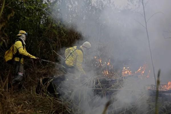 PBB memperingatkan polusi udara akibat kebakaran hutan di hutan hujan Amazon Brasil dapat menyebar ke seluruh dunia. (FOTO: AP) 